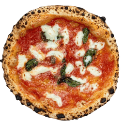 MARGHERITA