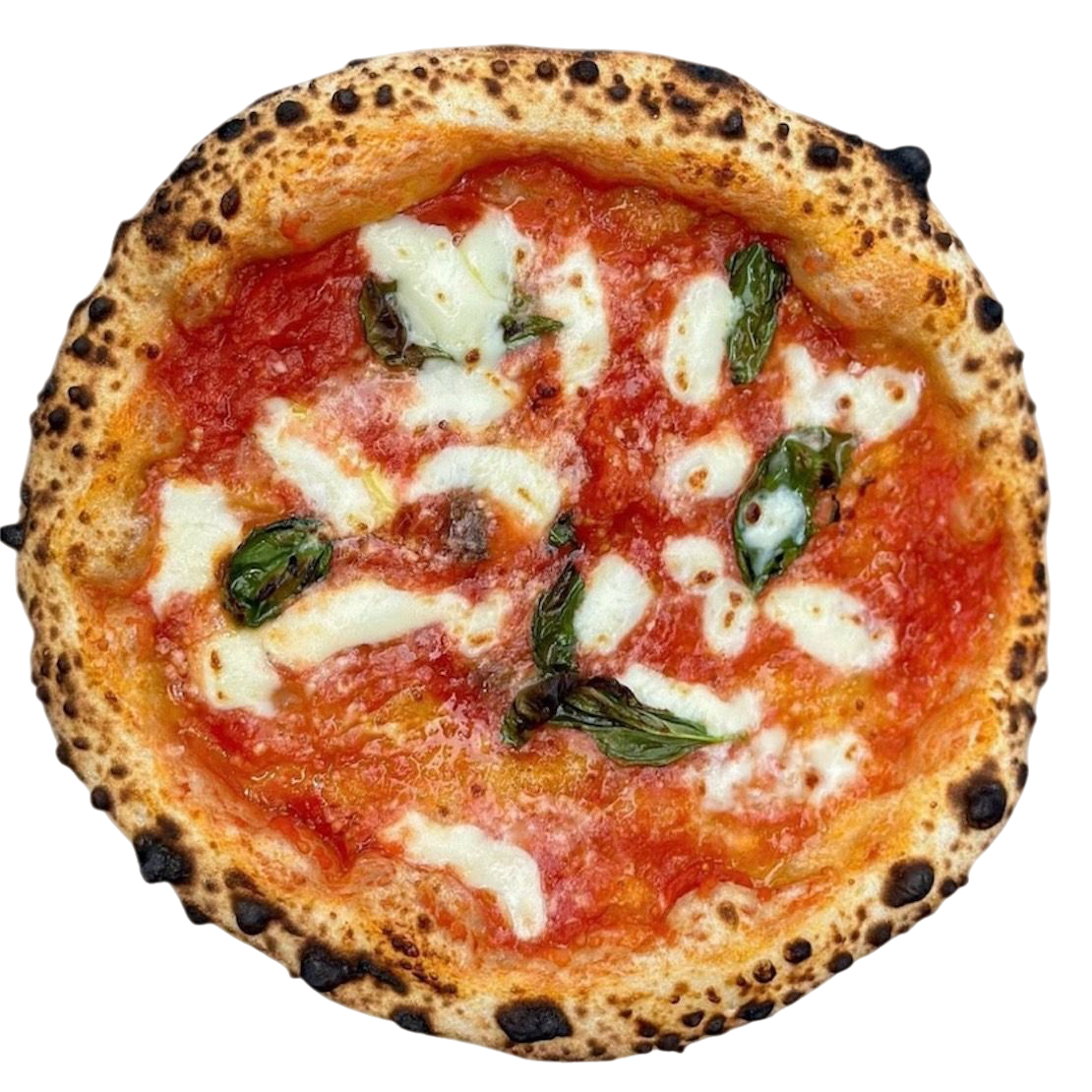 MARGHERITA